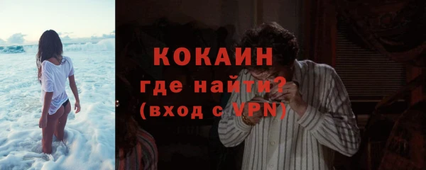 гашик Богданович